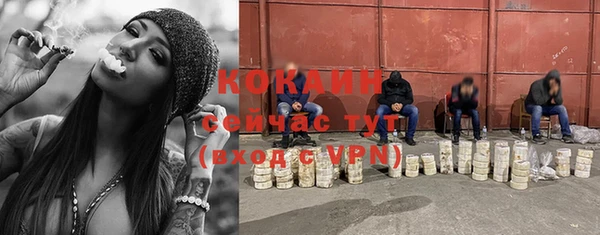 ГАЛЛЮЦИНОГЕННЫЕ ГРИБЫ Зеленокумск