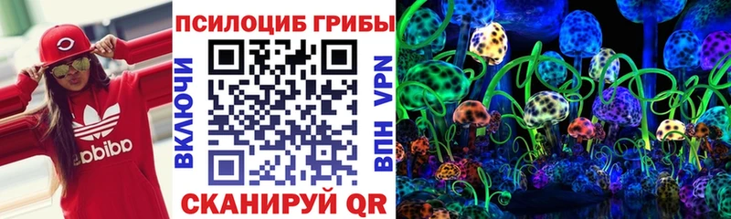 Галлюциногенные грибы Cubensis  Купить где  Георгиевск 